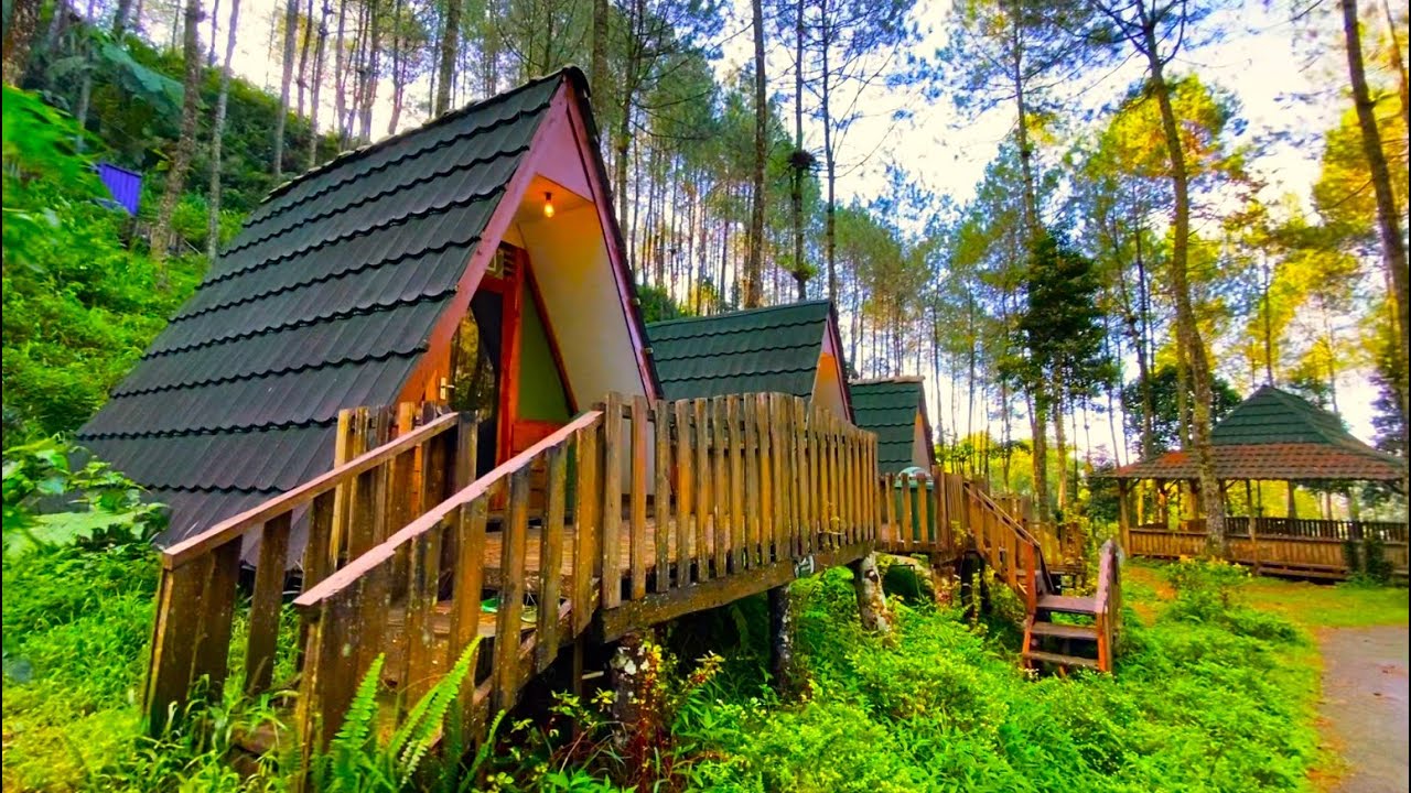 Telomoyo Nature Park: Pesona Alam di Lereng Gunung Merapi